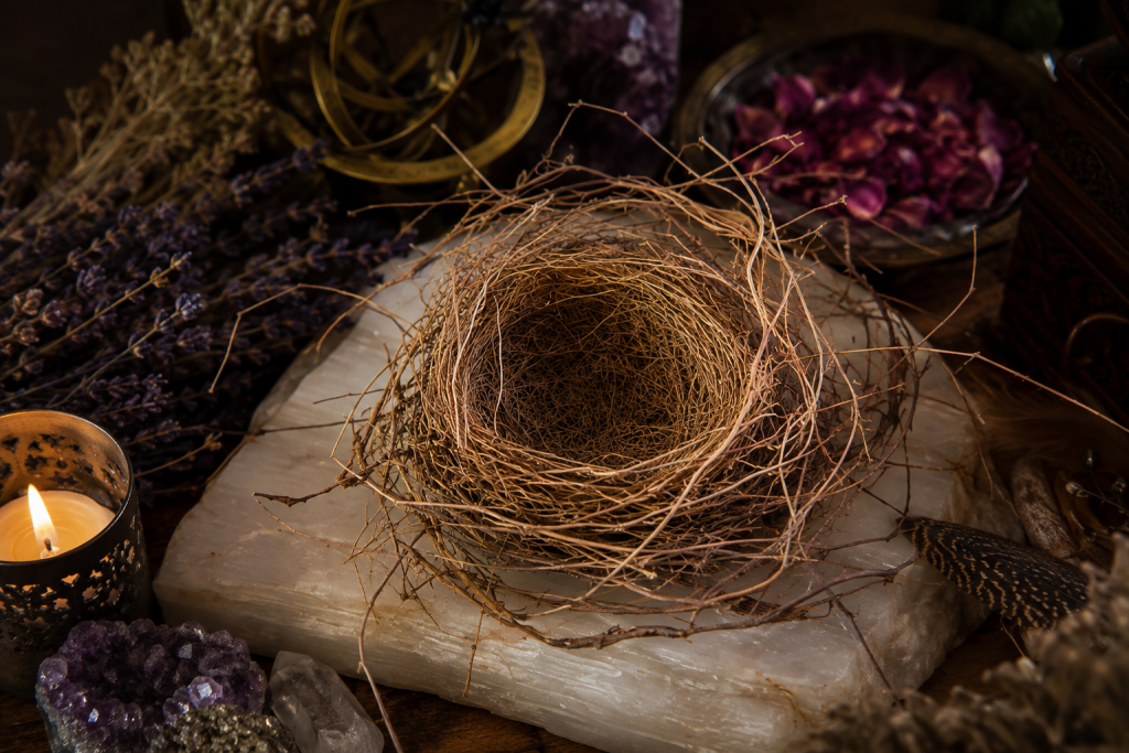 Empty birds nest on an altar.