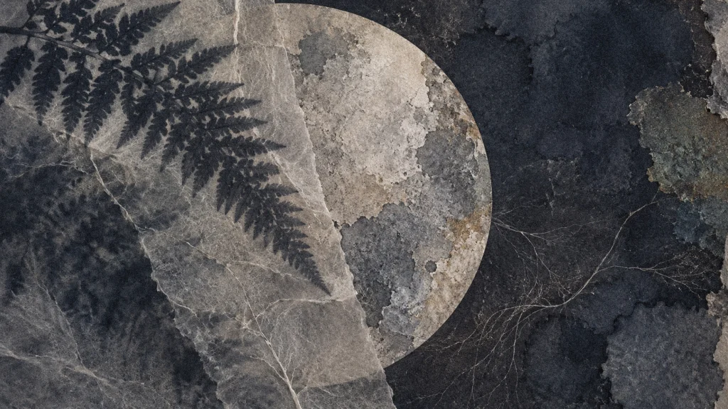 Fern shadows cross a pale circular moon form layered with handmade paper in charcoal and smoky indigo.